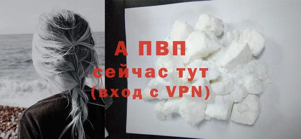 Альфа ПВП Арсеньев