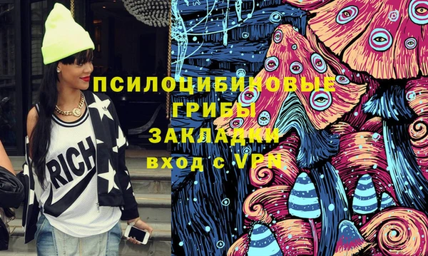 Альфа ПВП Арсеньев