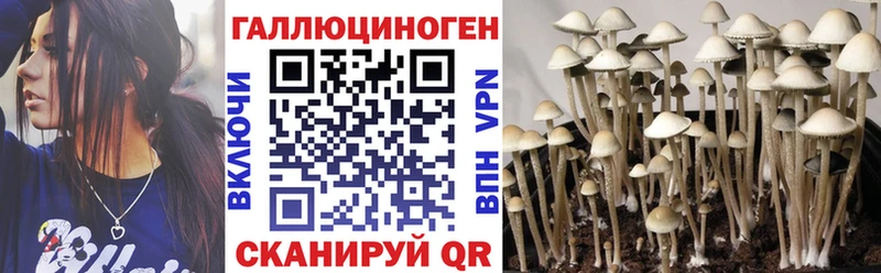 Галлюциногенные грибы Cubensis  Петушки 